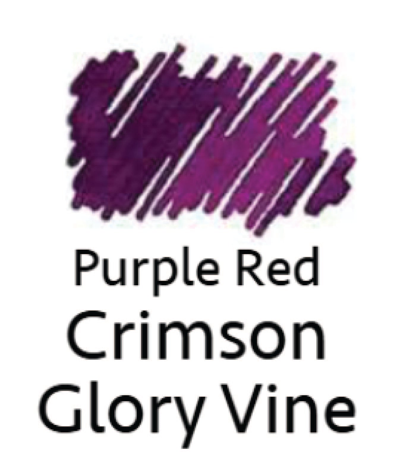 Iroshizuku yama-budo (Crimson - Glory Vine) 15 ml Bottled Ink