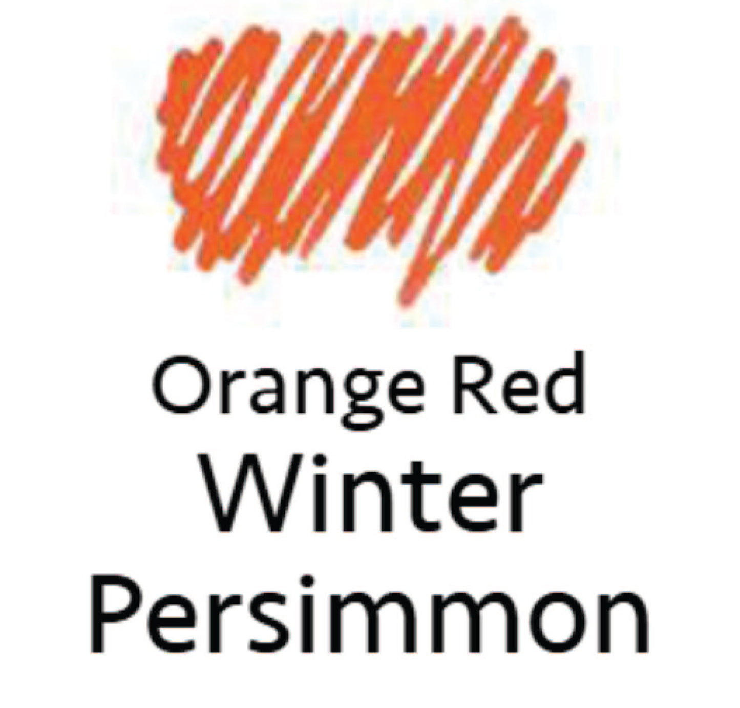Iroshizuku fuyu-gaki (Orange Red - Winter Persimmon) 15 ml Bottled Ink