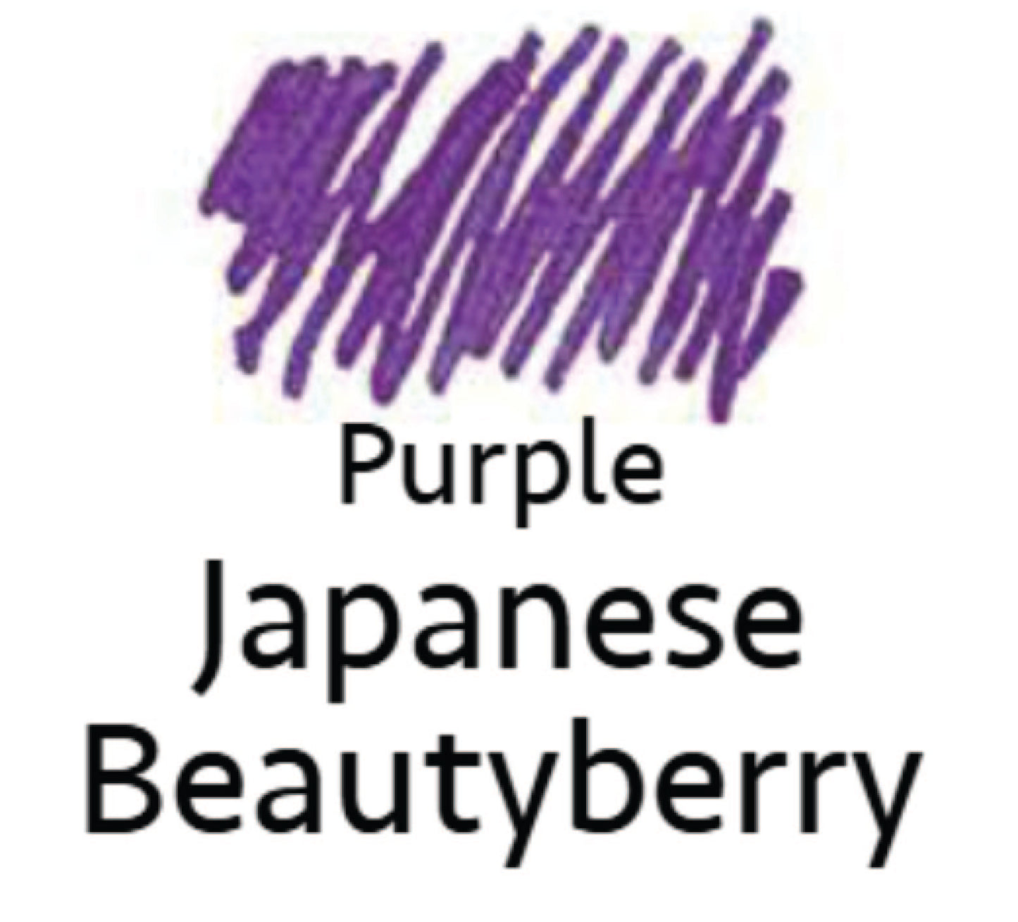 Iroshizuku murasaki-shikibu (Purple Japanese Beautyberry) 15 ml Bottled Ink