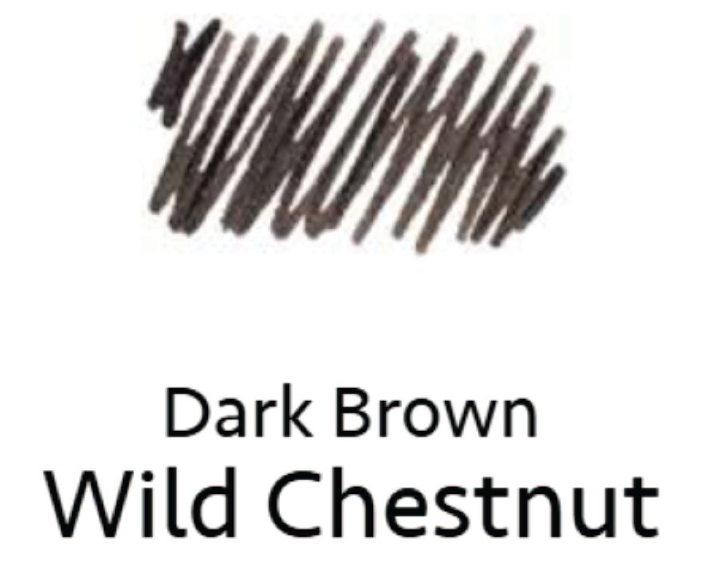 Iroshizuku yama-guri (Dark Brown - Wild Chestnut) 15 ml Bottled Ink