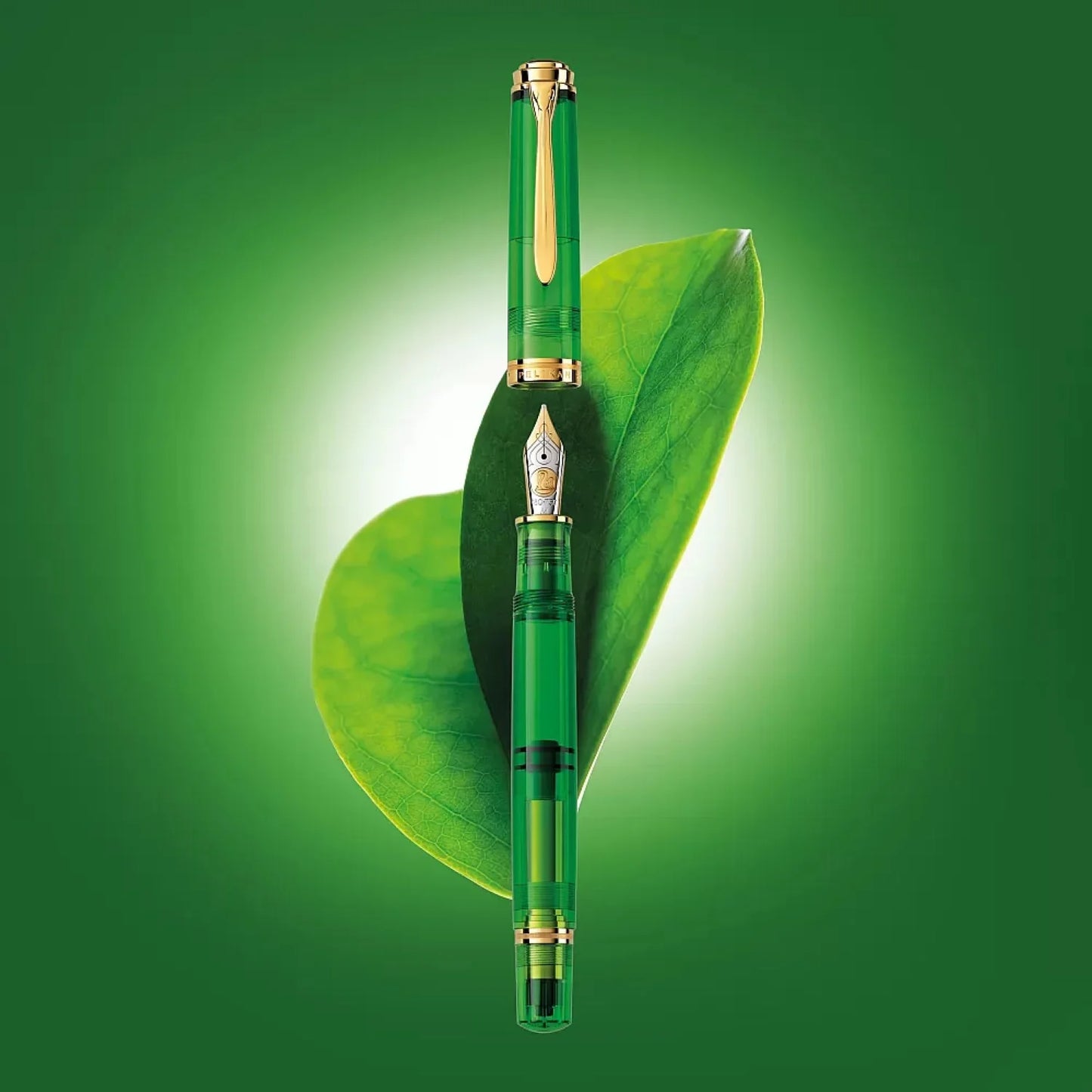 Pelikan - M800 Green Demonstrator